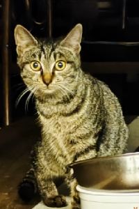 Huang Da Zhe 那霸國際通大和ROYNET飯店優惠