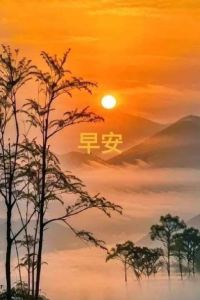 Jack panzer 紐蘭德酒店優惠