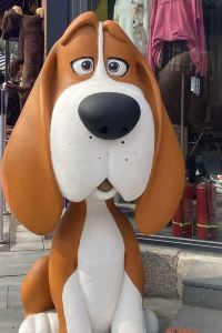 Ron Ron Ron 신포 힐링모텔 쿠폰