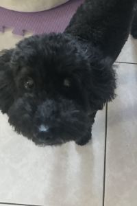 Lynn Cucu 桐鄉民宿優惠