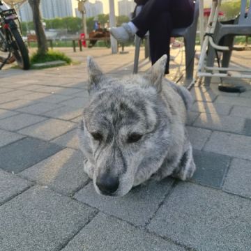팡팡팡팡