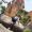 ma1ma1_travel