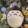 田島アキラ