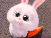Lee.w