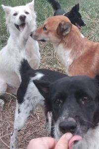 chubby nui 希望公寓優惠