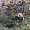 stanleycheng7677