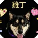 訪客