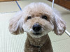 ChiRo
