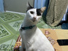 ตะลอนเดินทาง