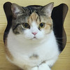 Makijung
