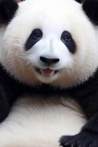 Cheung T 北京新世界酒店優惠