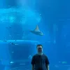 Avatar 1