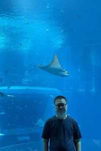 jac kai 喜來登卡莉迪亞酒店優惠