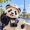 Lost Panda