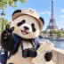 Lost Panda
