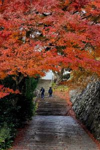 安多拉 湯乃屋 クーポン