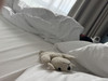 bunnytravels