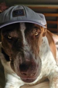 訪客用戶 鹿兒島中央站東東橫 INN優惠