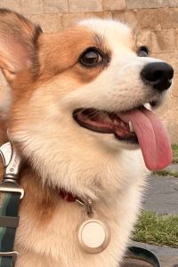 sspringirl 라마다 바이 윈덤 구미 쿠폰