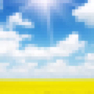 阳光下的向日葵