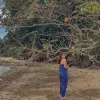 Avatar 3