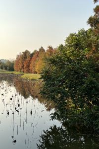 Keita wan 台北西門町三隻老虎青年旅社優惠