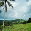 dewsamui