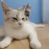 Avatar 2