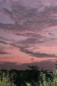 Aprchow 柯賓悠活行館優惠