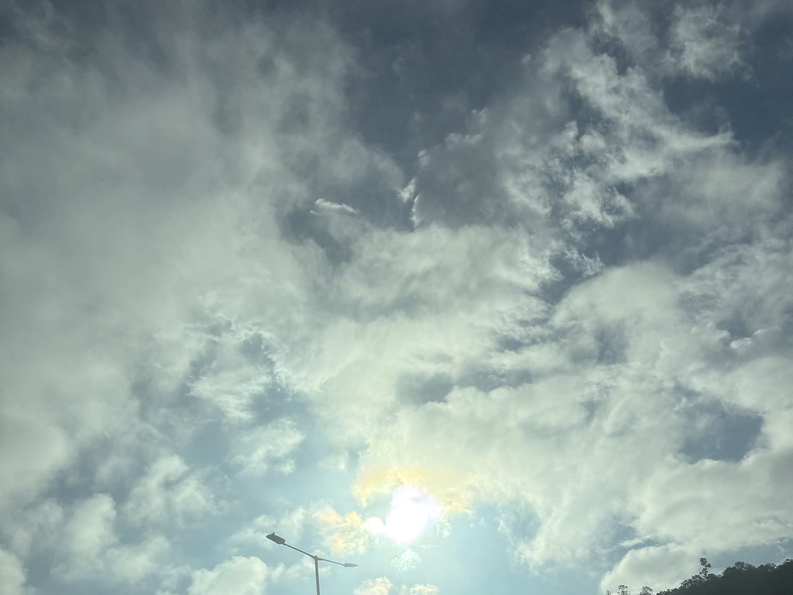 CY_Travel