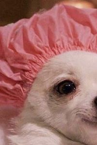 Knackiee 曼谷斯佩克飯店優惠