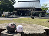日本自由行新手