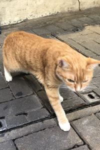 K Lou 登別萬世閣優惠