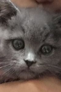 訪客 太平洋酒店優惠