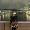 Ducky’s journey: เที่ยวแบบเป็ด