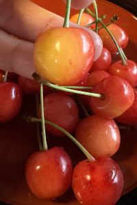 野明爵士 悠の湯　風の季 クーポン