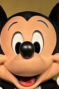 hamuhamu ルートイングランティア あおしま太陽閣 クーポン