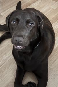 Pablo C S. 愛丁堡A點酒店優惠