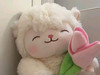 มะเอ