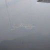 paint for sale