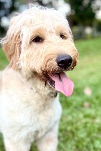 gtps KOMU飯店優惠