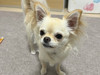 えね