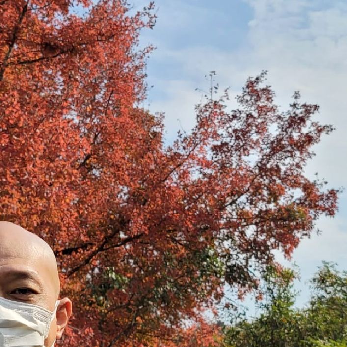 트립닷컴 회원