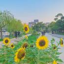 ผู้หญิงมีหนวดชอบเที่ยว