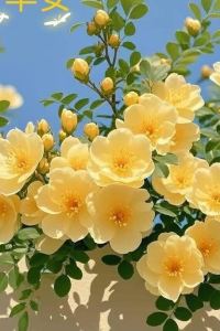 Daniel2200 吉隆坡蕉賴怡思得美利亞飯店優惠