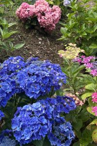 シュガ ホテルアークリッシュ豊橋 クーポン