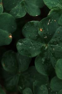 訪客用戶 台東擁月星宿民宿優惠