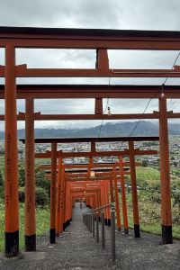 Candycc111 惠州惠陽麗景花園酒店優惠