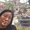 가자 여행