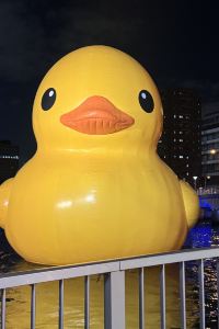 Minooo ザ ロイヤルパークホテル アイコニック 京都 クーポン